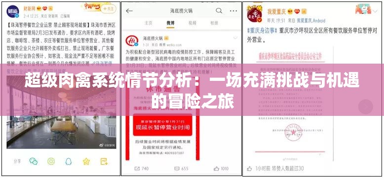 超级肉禽系统情节分析：一场充满挑战与机遇的冒险之旅