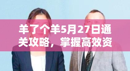 羊了个羊5月27日通关攻略，掌握高效资源管理技巧，助你轻松突破游戏难关