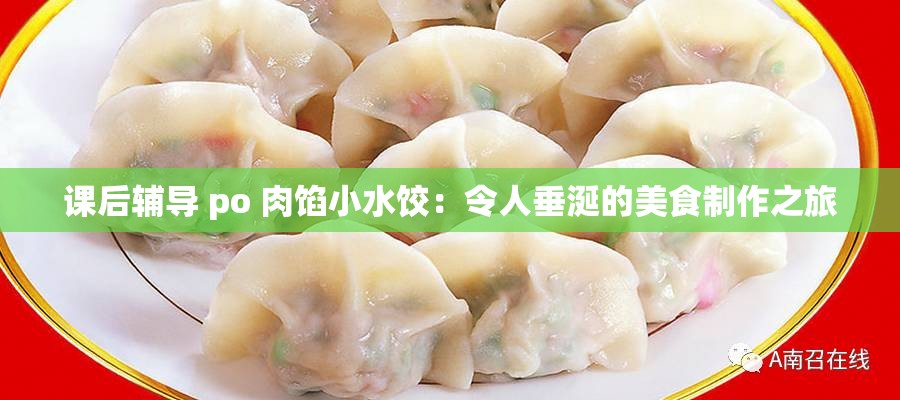 课后辅导 po 肉馅小水饺：令人垂涎的美食制作之旅