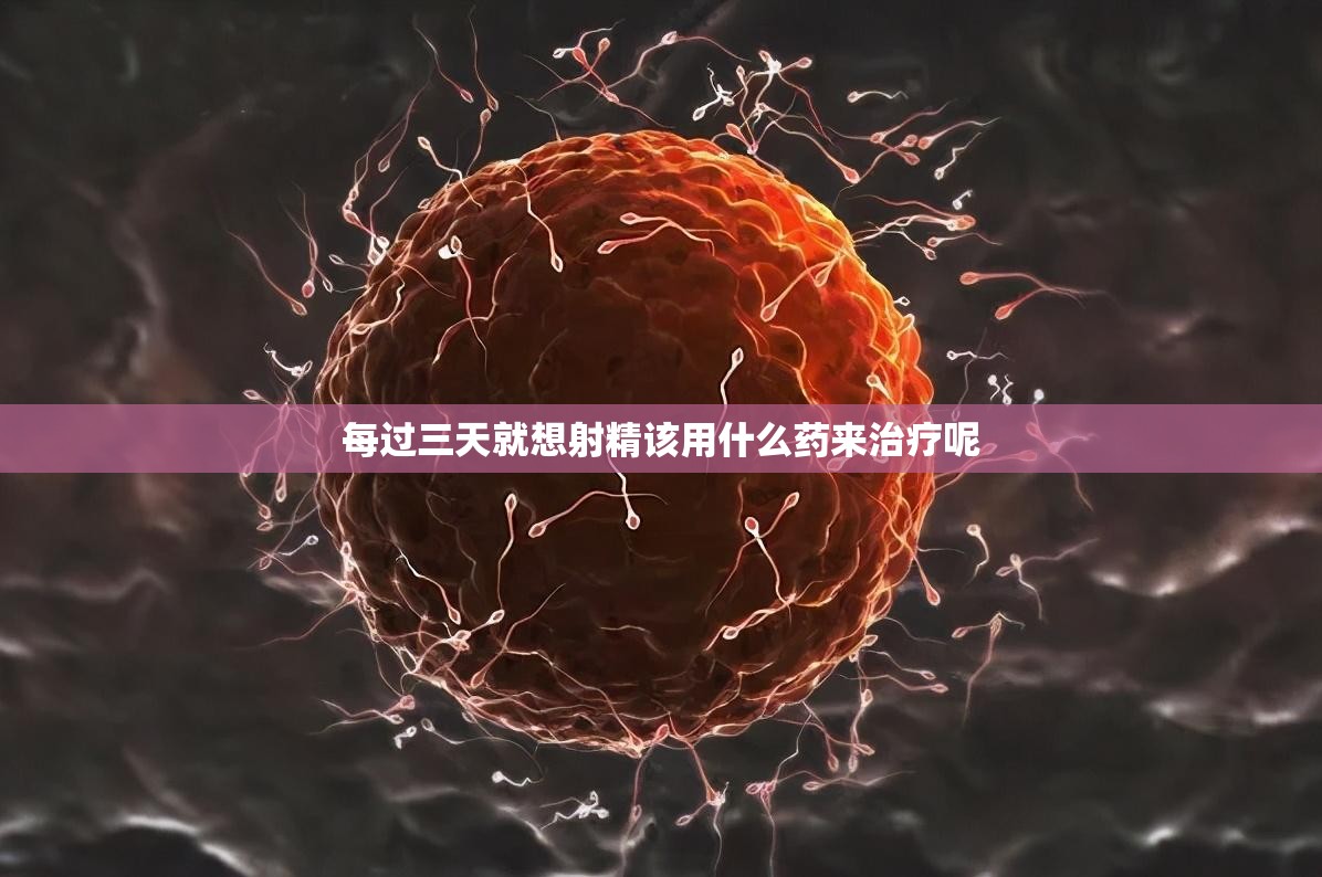 每过三天就想射精该用什么药来治疗呢