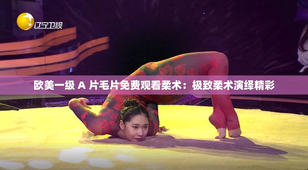 欧美一级 A 片毛片免费观看柔术：极致柔术演绎精彩