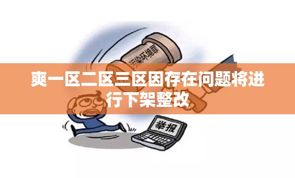 爽一区二区三区因存在问题将进行下架整改
