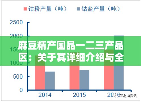 麻豆精产国品一二三产品区：关于其详细介绍与全面分析
