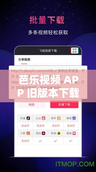 芭乐视频 APP 旧版本下载大全：海量资源轻松获取