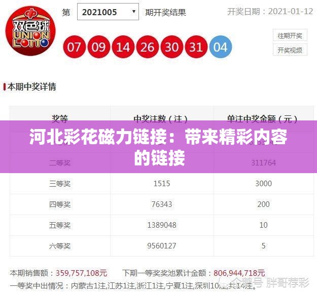 河北彩花磁力链接：带来精彩内容的链接