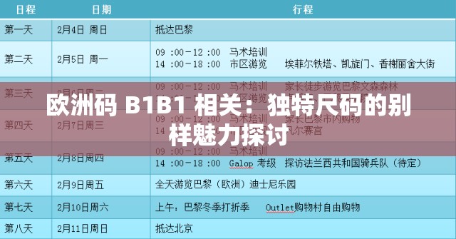 欧洲码 B1B1 相关：独特尺码的别样魅力探讨