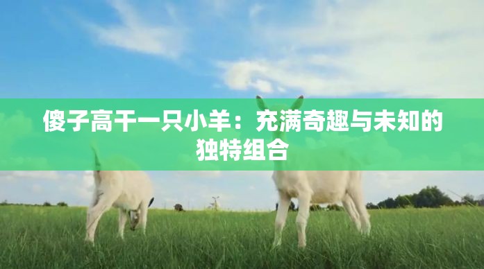 傻子高干一只小羊：充满奇趣与未知的独特组合