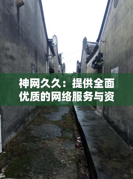 神网久久：提供全面优质的网络服务与资讯