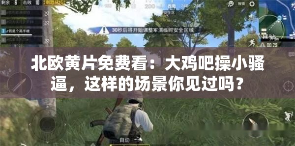 北欧黄片免费看：大鸡吧操小骚逼，这样的场景你见过吗？