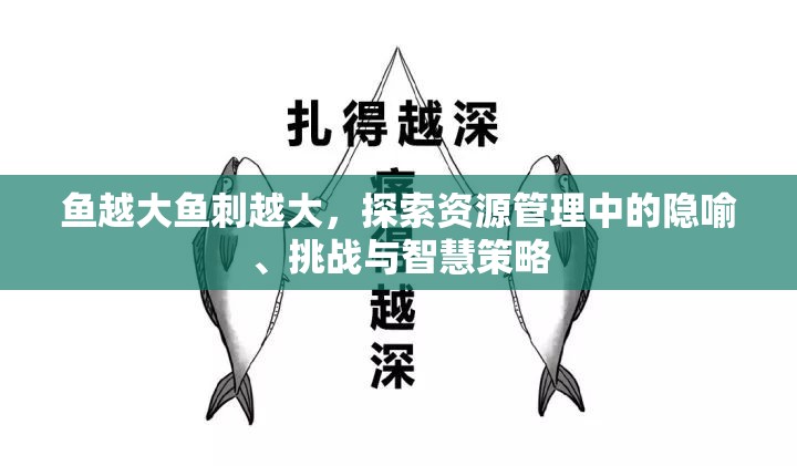 鱼越大鱼刺越大，探索资源管理中的隐喻、挑战与智慧策略