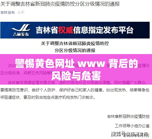 警惕黄色网址 www 背后的风险与危害