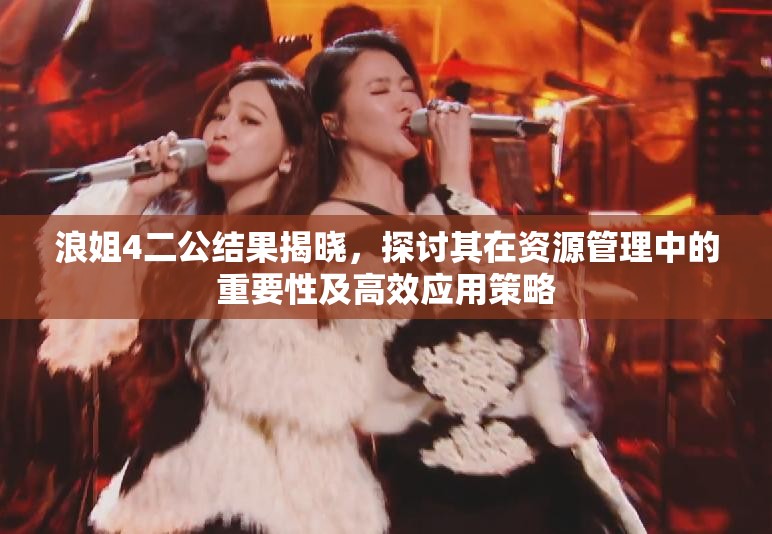 浪姐4二公结果揭晓，探讨其在资源管理中的重要性及高效应用策略