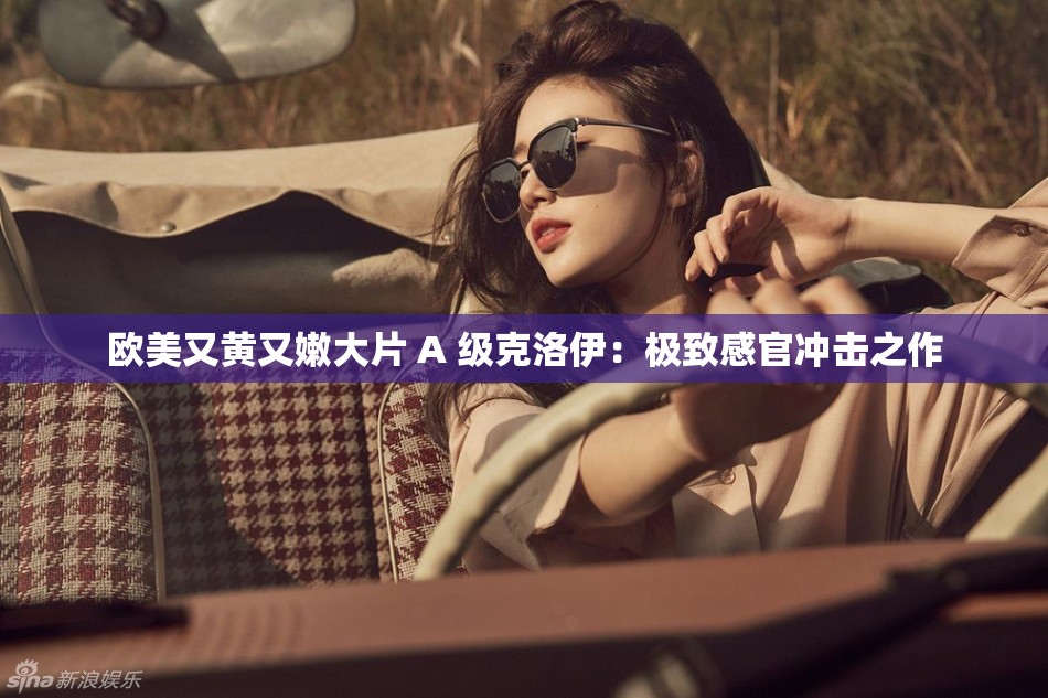 欧美又黄又嫩大片 A 级克洛伊：极致感官冲击之作