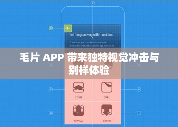 毛片 APP 带来独特视觉冲击与别样体验