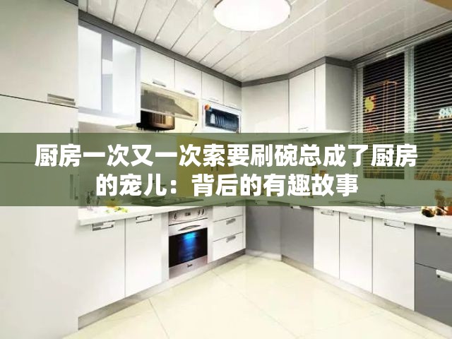 厨房一次又一次索要刷碗总成了厨房的宠儿：背后的有趣故事