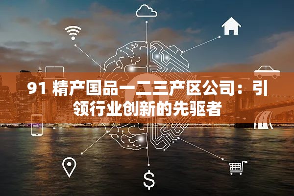 91 精产国品一二三产区公司：引领行业创新的先驱者
