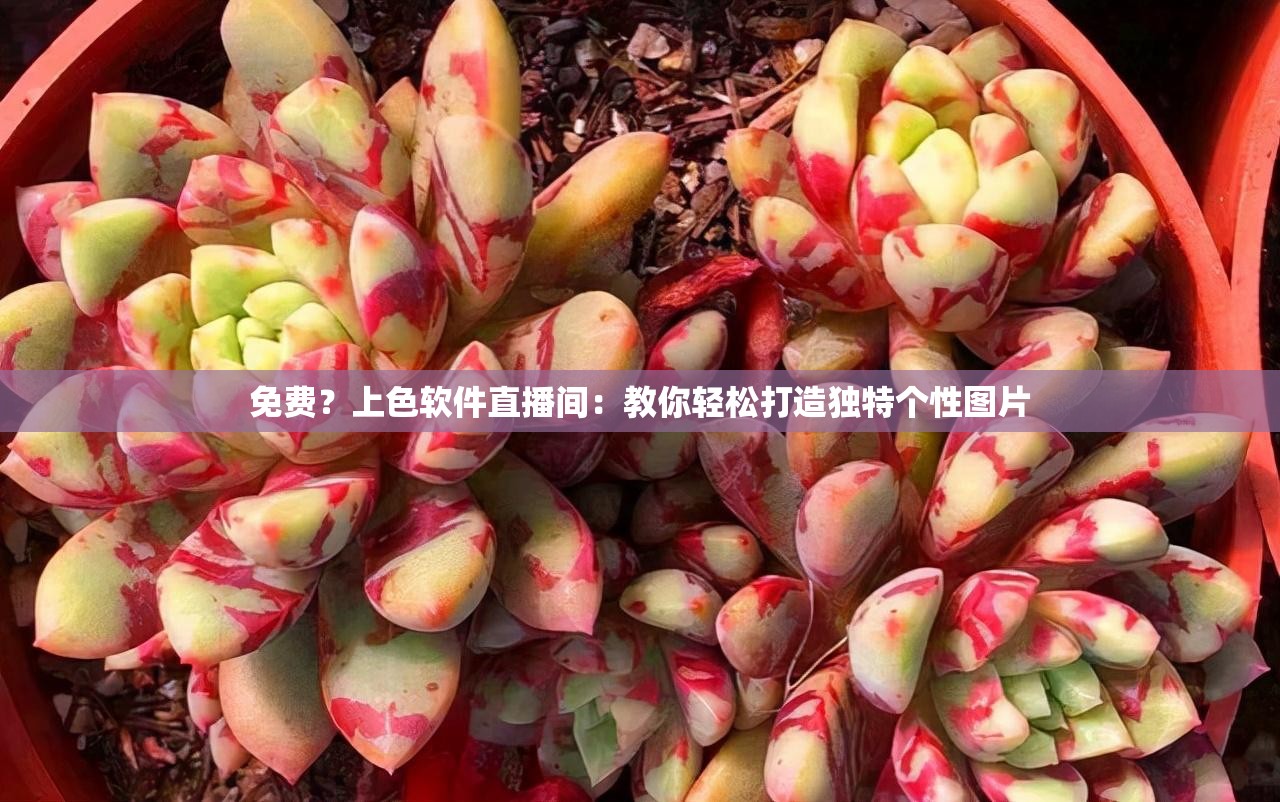 免费？上色软件直播间：教你轻松打造独特个性图片
