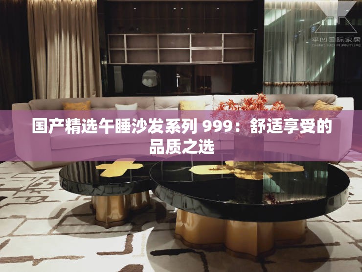 国产精选午睡沙发系列 999：舒适享受的品质之选