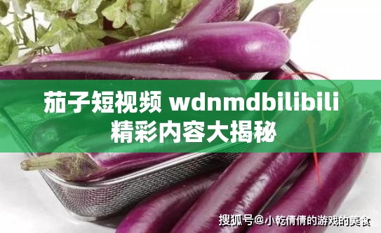 茄子短视频 wdnmdbilibili 精彩内容大揭秘