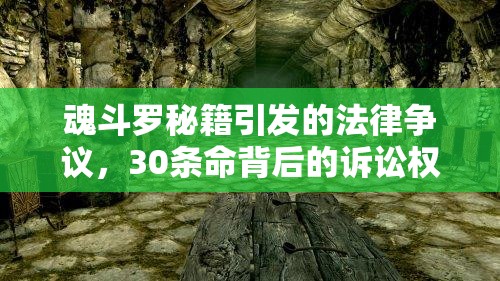 魂斗罗秘籍引发的法律争议，30条命背后的诉讼权利与复杂法律风云