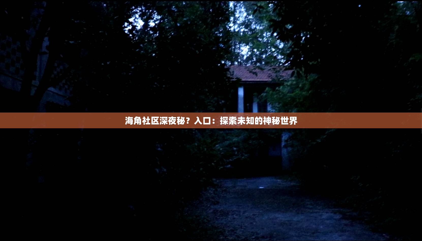 海角社区深夜秘？入口：探索未知的神秘世界