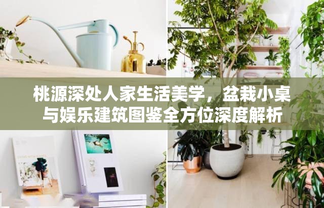 桃源深处人家生活美学，盆栽小桌与娱乐建筑图鉴全方位深度解析