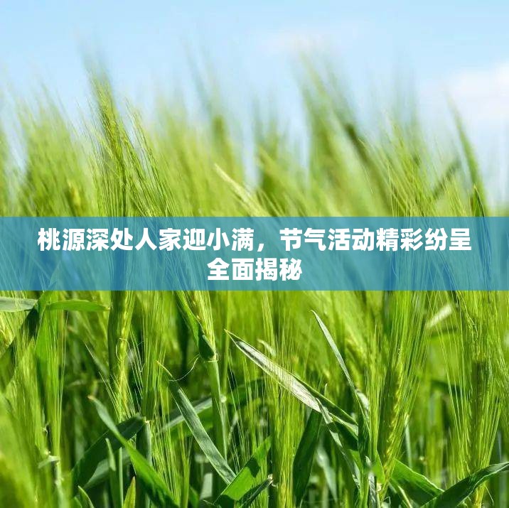 桃源深处人家迎小满，节气活动精彩纷呈全面揭秘