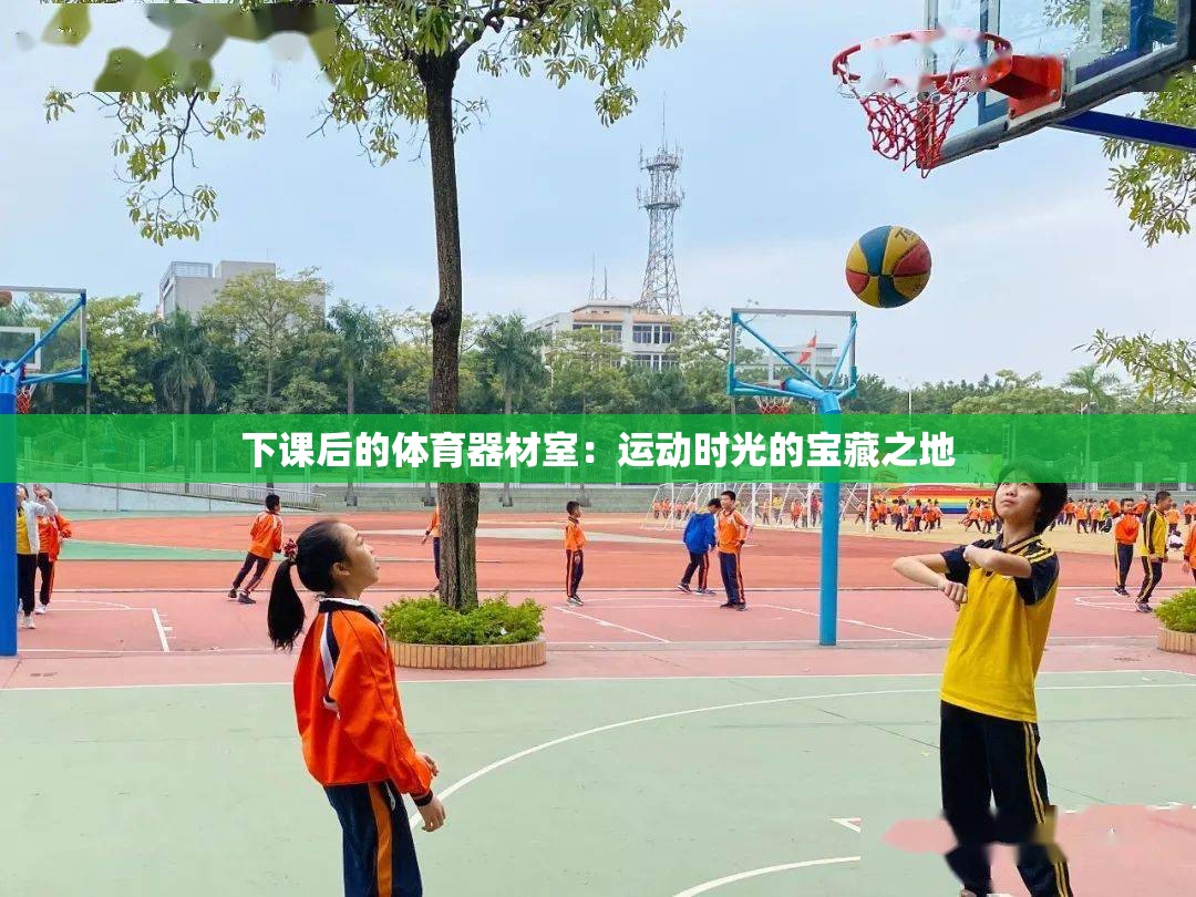 下课后的体育器材室：运动时光的宝藏之地