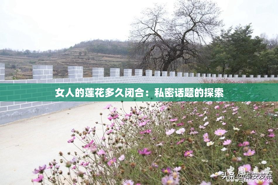 女人的莲花多久闭合：私密话题的探索