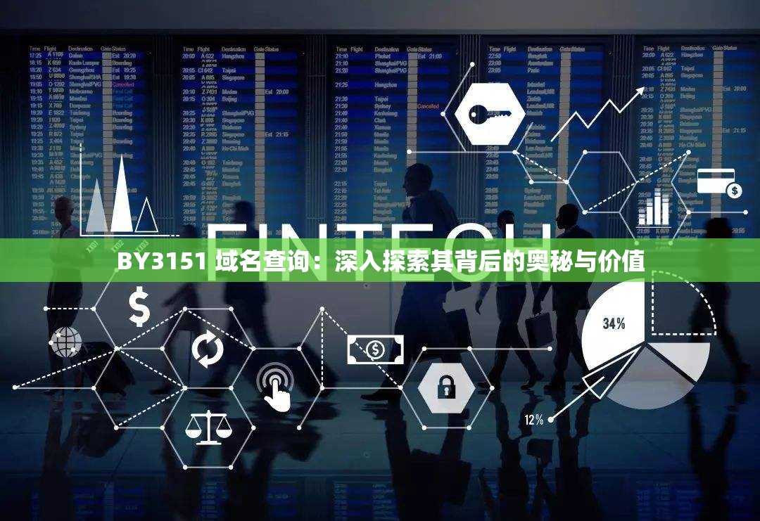 BY3151 域名查询：深入探索其背后的奥秘与价值