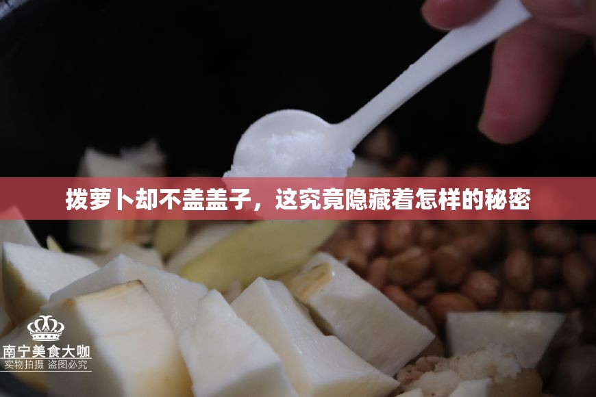拨萝卜却不盖盖子，这究竟隐藏着怎样的秘密