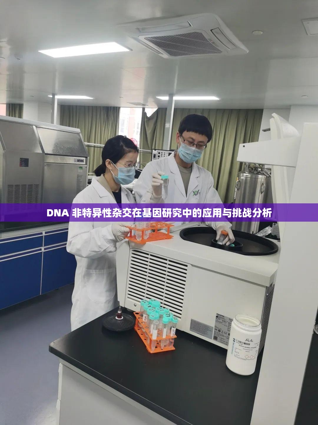 DNA 非特异性杂交在基因研究中的应用与挑战分析