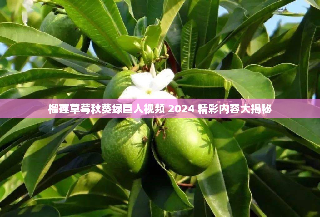 榴莲草莓秋葵绿巨人视频 2024 精彩内容大揭秘