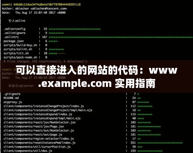 可以直接进入的网站的代码：www.example.com 实用指南