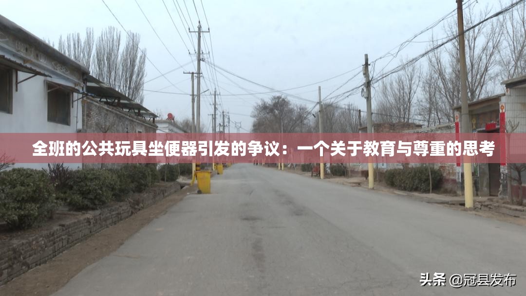 全班的公共玩具坐便器引发的争议：一个关于教育与尊重的思考