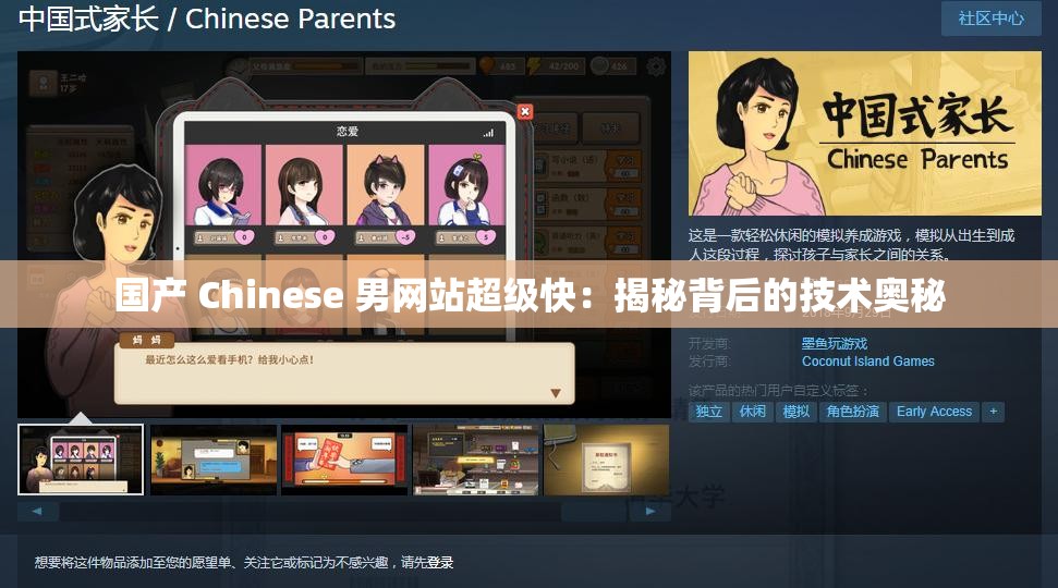 国产 Chinese 男网站超级快：揭秘背后的技术奥秘