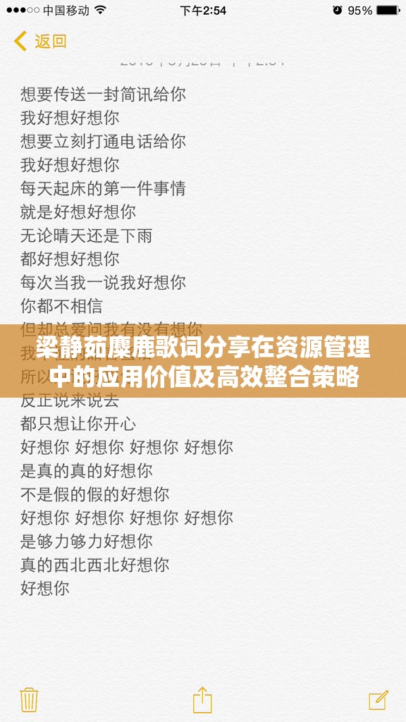 梁静茹麋鹿歌词分享在资源管理中的应用价值及高效整合策略