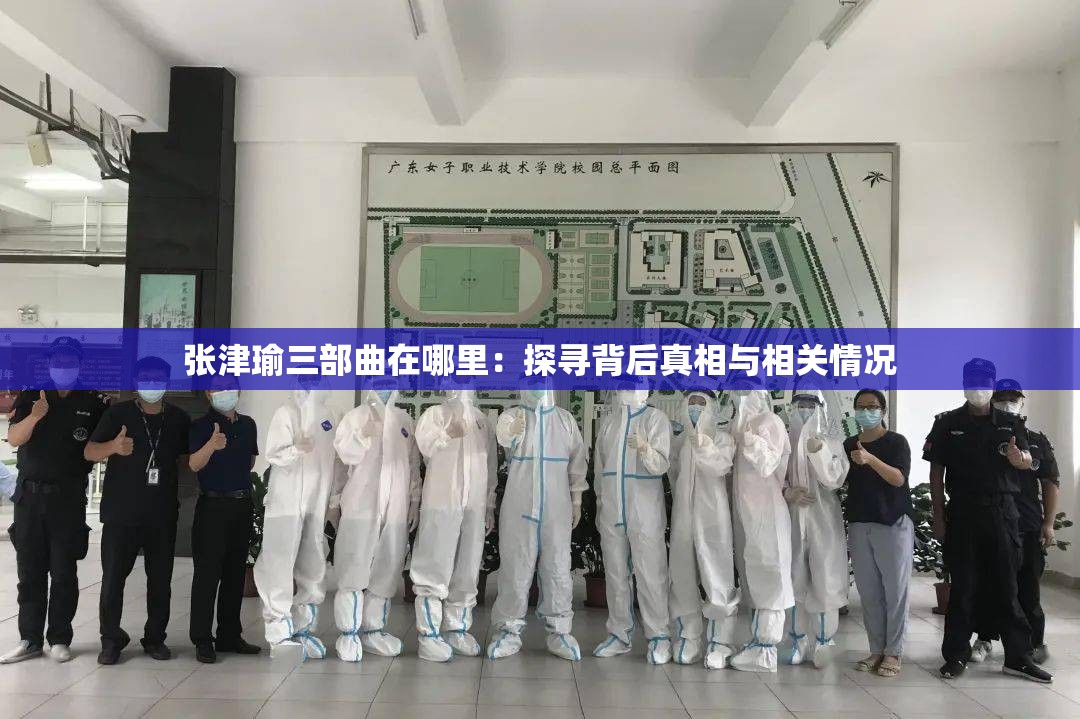 张津瑜三部曲在哪里：探寻背后真相与相关情况