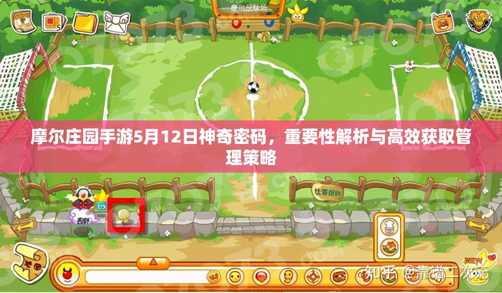 摩尔庄园手游5月12日神奇密码，重要性解析与高效获取管理策略