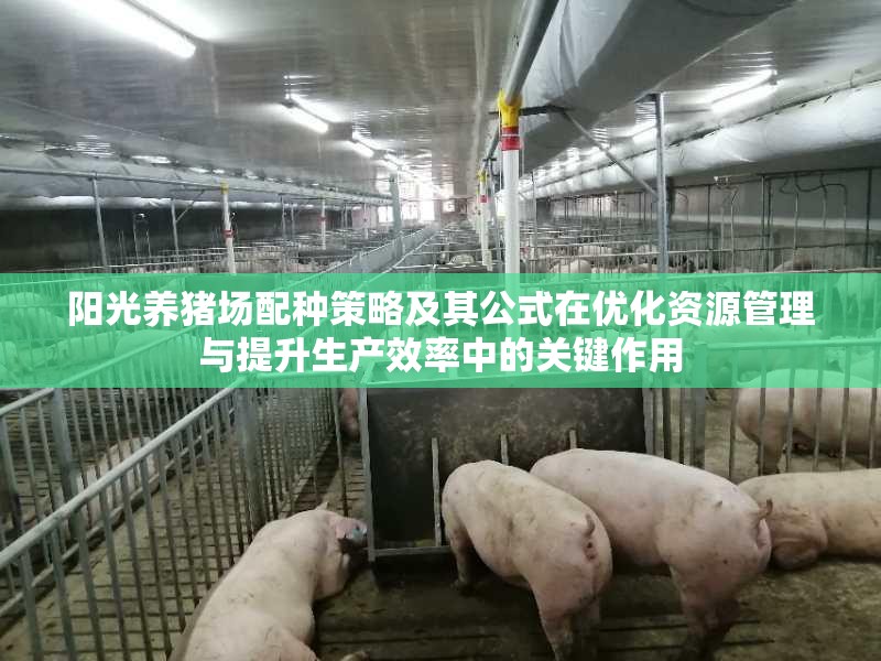 阳光养猪场配种策略及其公式在优化资源管理与提升生产效率中的关键作用
