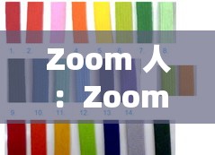 Zoom 人：ZoomZoomHD 的差异与区别