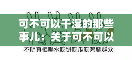 可不可以干湿的那些事儿：关于可不可以干湿的种种探讨
