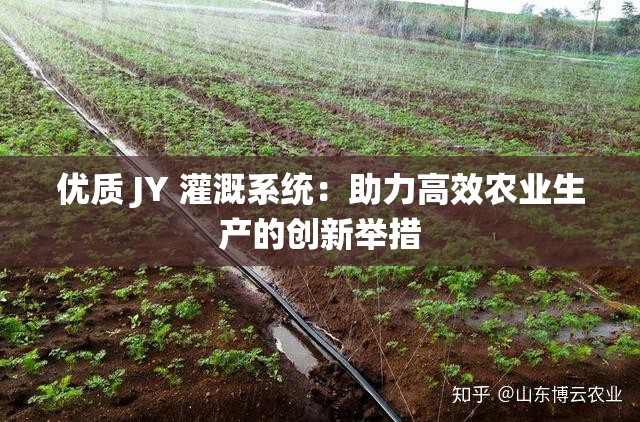 优质 JY 灌溉系统：助力高效农业生产的创新举措