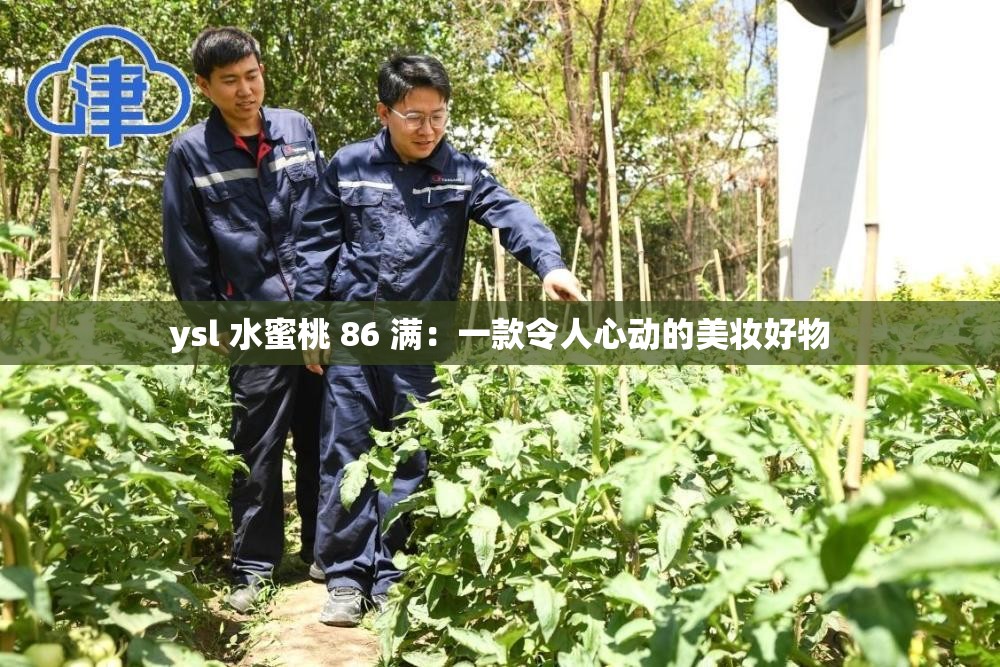 ysl 水蜜桃 86 满：一款令人心动的美妆好物