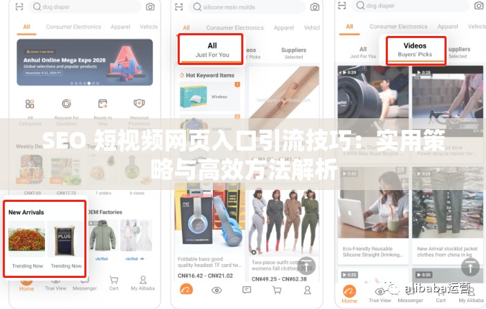 SEO 短视频网页入口引流技巧：实用策略与高效方法解析