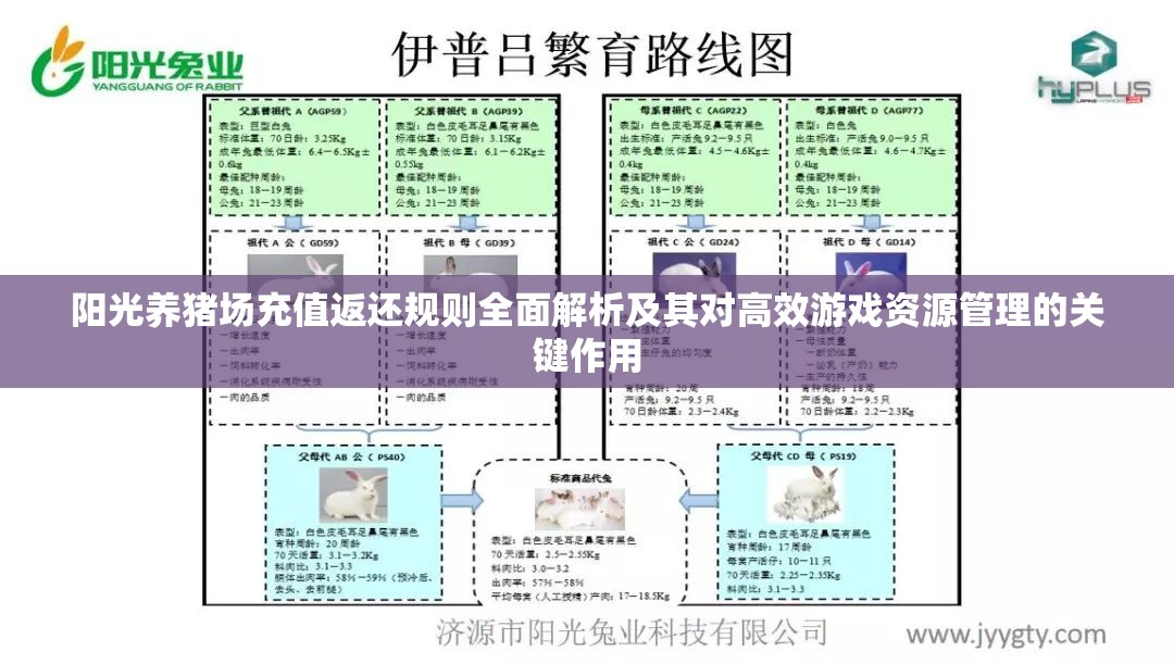 阳光养猪场充值返还规则全面解析及其对高效游戏资源管理的关键作用
