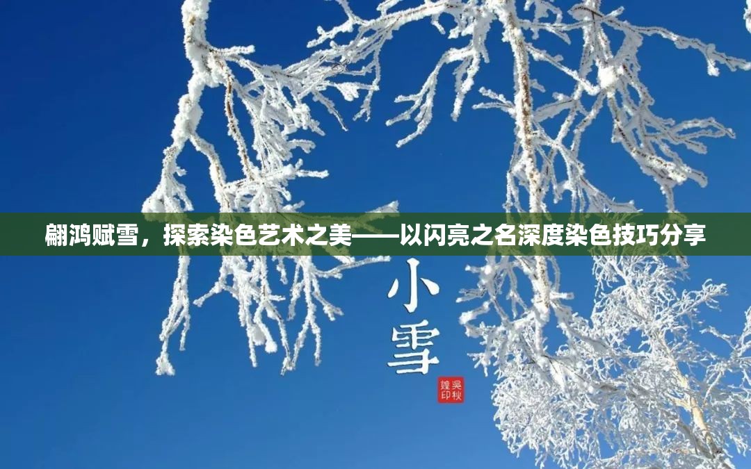 翩鸿赋雪，探索染色艺术之美——以闪亮之名深度染色技巧分享