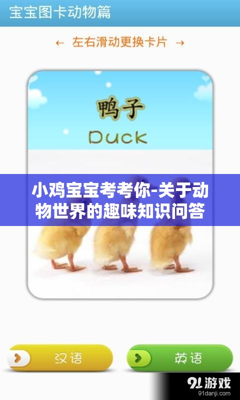 小鸡宝宝考考你-关于动物世界的趣味知识问答