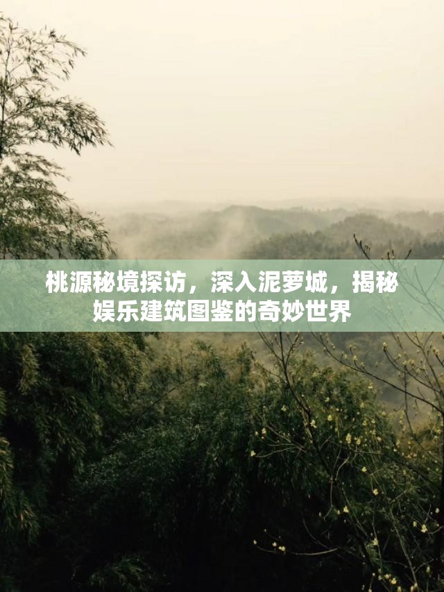 桃源秘境探访，深入泥萝城，揭秘娱乐建筑图鉴的奇妙世界