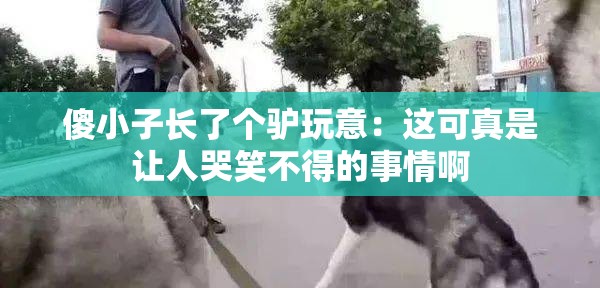 傻小子长了个驴玩意：这可真是让人哭笑不得的事情啊